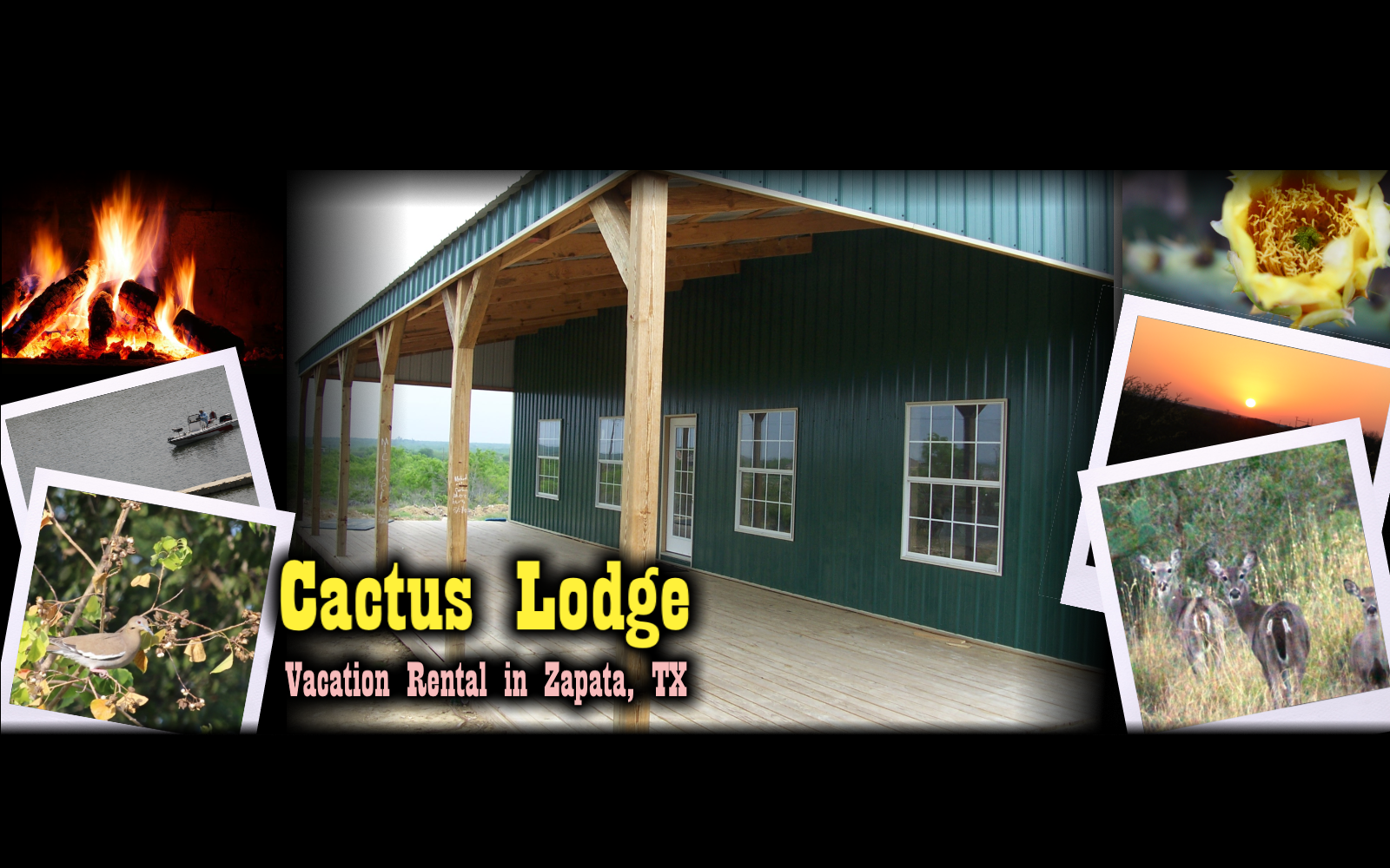 Home Page